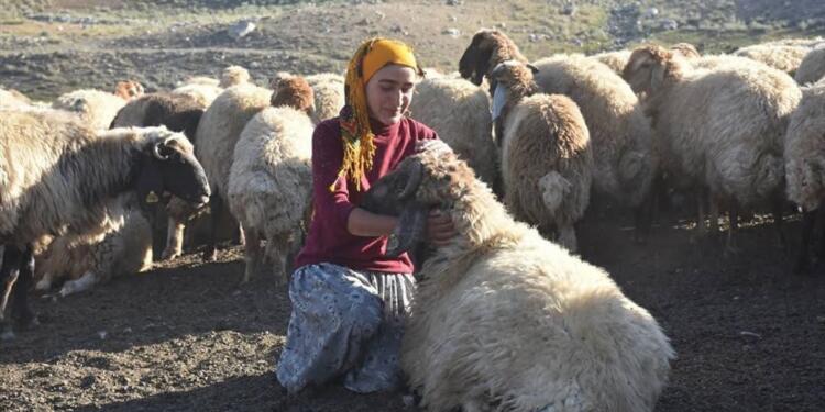 DEM Parti’nin koçer adayı Halime İlçin: Zaman başarma zamanı