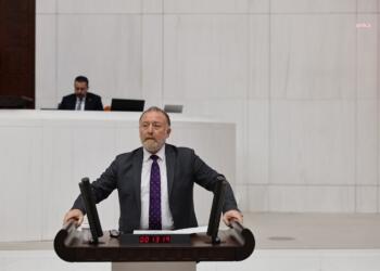 Sezai Temelli’den AKP’li vekile: Kürt onlar, kökenli değil