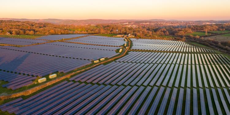 Marmara Denizi ölüyor