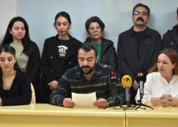 Amed Emek ve Demokrasi Platformu: Oyunu kullan, sandığa sahip çık