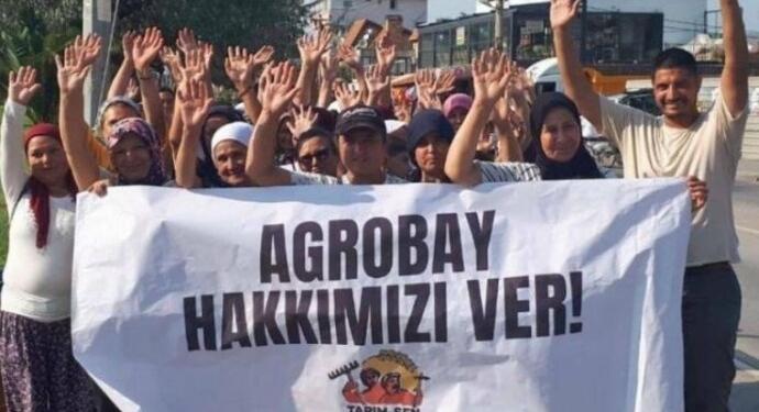 Agrobay işçileri ilk kazanımlarını elde etti