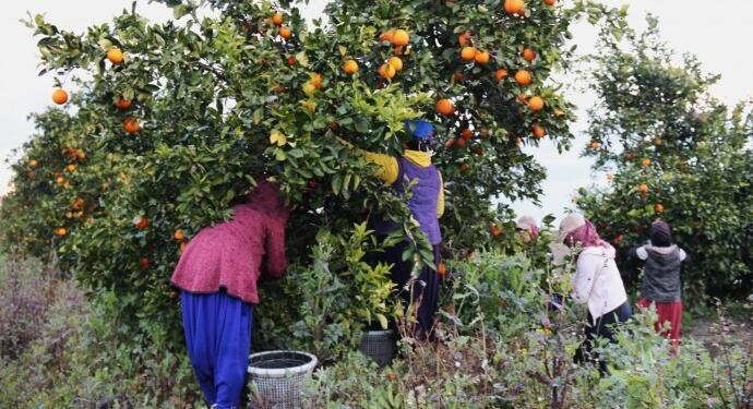 Tarım işçisi kadınlar: 8 Mart’ta sesimizi duyurun