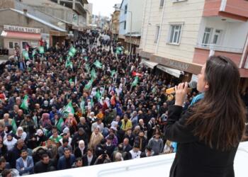 Hatimoğulları Mûş’ta: 31 Mart’ta mührü DEM ağacının altına vuralım
