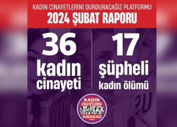 KCDP Şubat ayı raporu: 36 kadın katledildi