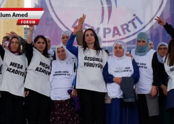 Siyasetin matematiği: DEM Parti neden herkese dert olmuş?