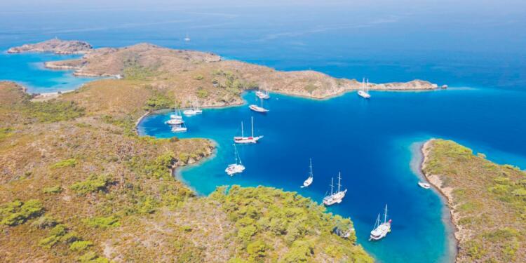 Koruma alanları GES işgaline açıldı!