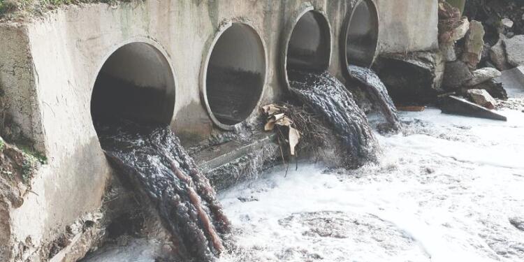 Ergene Nehri niçin zehir akıyor?