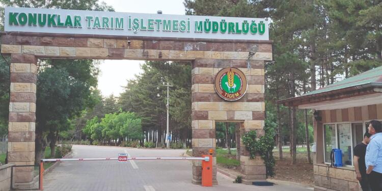 TİGEM’in çevresinde arazi satışları