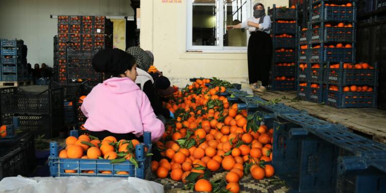 ‘Kadınlar bizim için de Jin Jiyan Azadî diyerek yürüsünler’