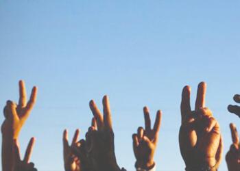 Seçim görevi iptal edildi; Gerekçe zafer işareti