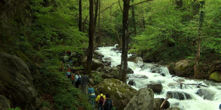 Koza Altın Istrancalar da!