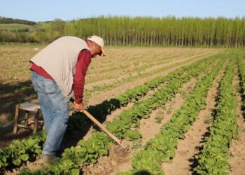 Hevsel’de emek çok, kazanç kâr etmiyor