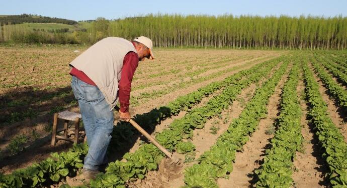 Hevsel’de emek çok, kazanç kâr etmiyor