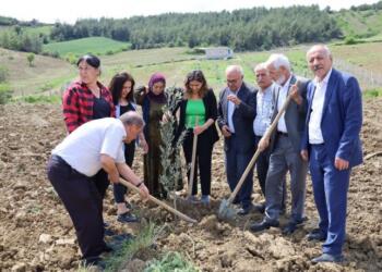 Abdullah Öcalan’ın doğum günü için fidan dikildi