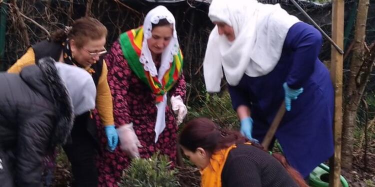 Bremen’de kadınlar Abdullah Öcalan için fidan dikti