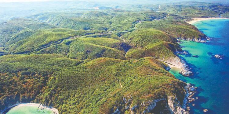 Istrancalar Ormanı’nda yıkım büyüyor
