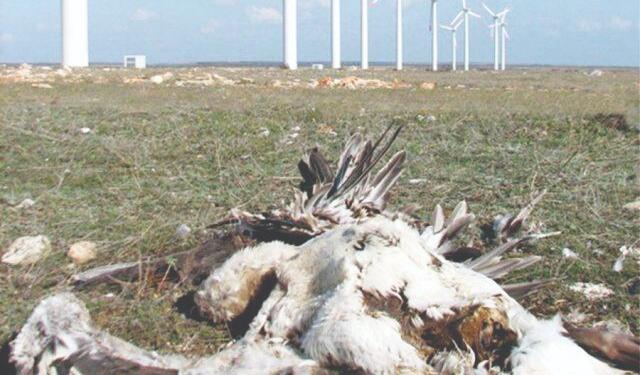 Kalyon Holding şimdi de Trakya’da!