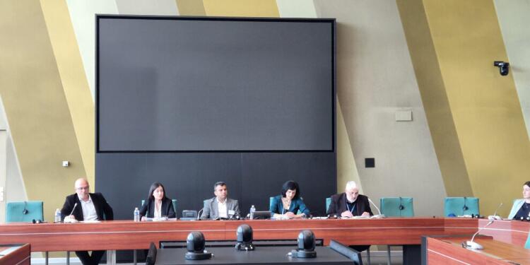 Avrupa Konseyi’nde ‘İmralı’ toplantısı