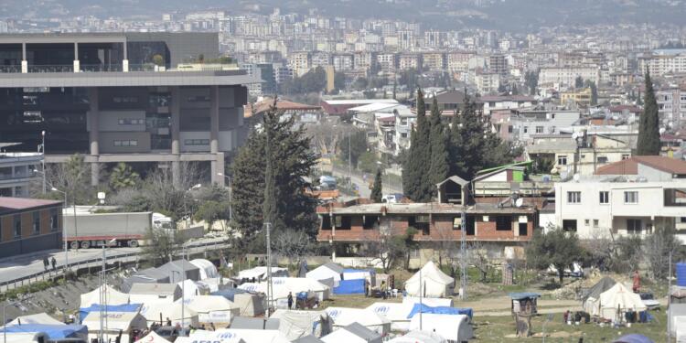 Hatay’da kuduz vakası: İki mahalle karantinaya alındı