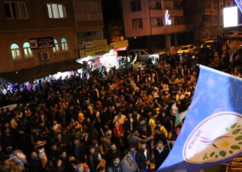 DEM Parti en yüksek oyu Licê’den aldı