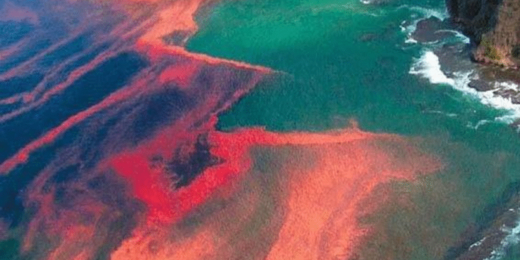 Marmara kızıla bürünüyor
