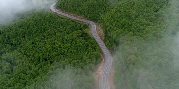 Orman halka yasak madenlere serbest