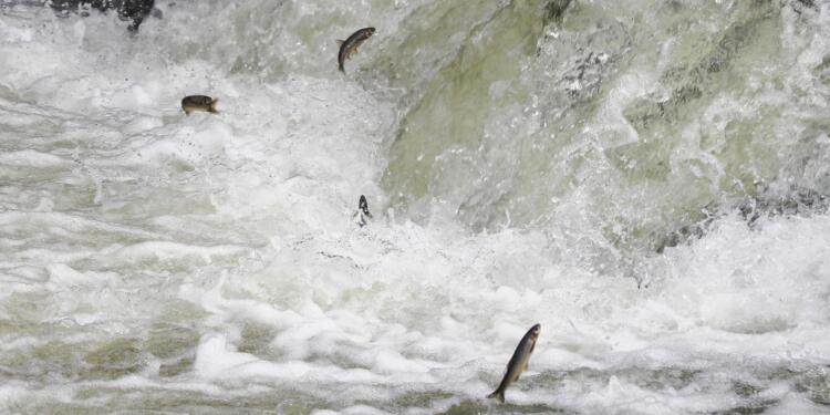 Wan Gölü mikrobiyalit tarlasına dönüşüyor