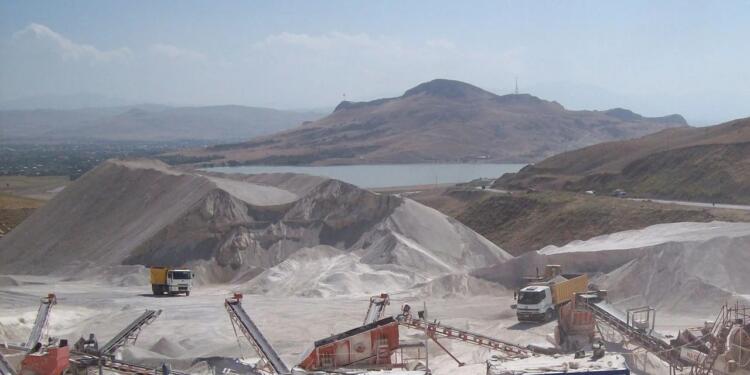 Wan göletlerinde balıklar ölüyor