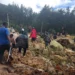 Papua Yeni Gine’de 2 binden fazla kişi toprak altında kaldı