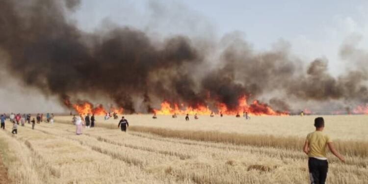 Türkiye, Rojava’da tarım alanlarına saldırıyor