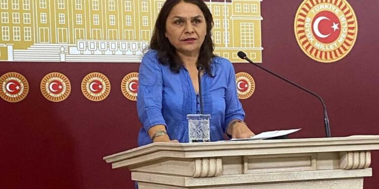 DEM Partili Saki: Yeni müfredat tekkede mürit yetiştirme modelidir