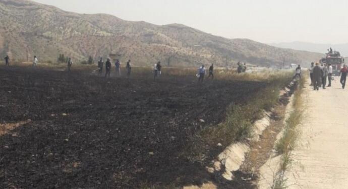 Silopiya bölgesindeki 200 dönümlük buğday tarlası küle döndü