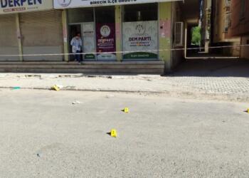 Bêrecûk’te DEM Parti binasına saldırı