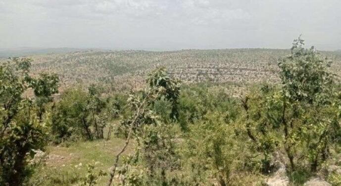 Amed kırsalında askeri operasyon