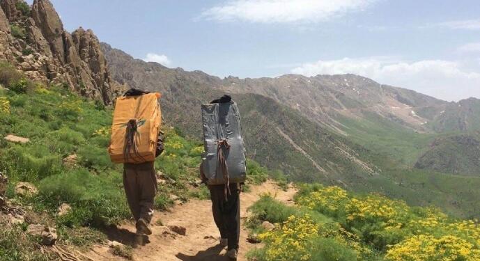 1 yılda en az 54 kolber katledildi