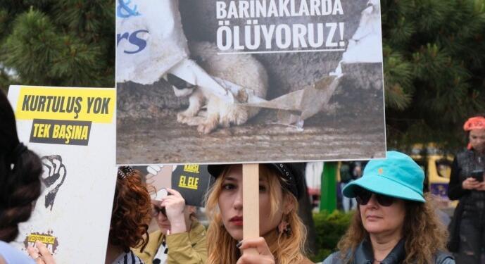 ‘AKP sokak köpekleri için yeni yasa teklifiyle katliama taraftar topluyor’