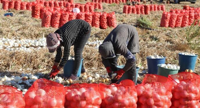 ‘Çocuk işçiliği’ üzerinden okullarda kar artışı!