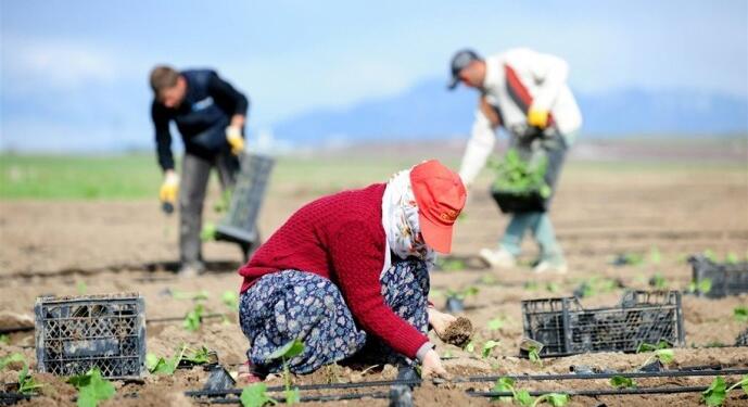 Erdoğan’ın ‘başarı’ dediği hikaye 700 milyar borç!