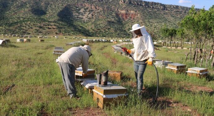 Ekonomik kriz ve ‘güvenlik’ arıcılığı bitirdi!