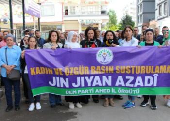 Dem Parti Amed İl Örgütü: Ülkenin ihtiyacı demokrasi