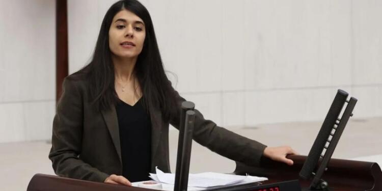 DEM Parti kadın sığınma evlerinin durumunu Meclis’e taşıdı