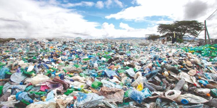 Plastikte 4 bin 200 zehirli kimyasal