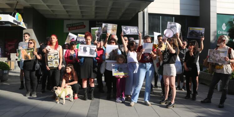 Ankara’da ‘Sokak hayvanlarını öldürme’ yasasına karşı eylem devam etti