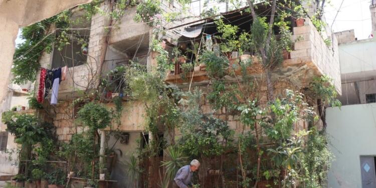 Saldırılara karşı terk etmediği evini çiçek bahçesine dönüştürdü