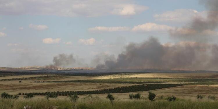 Rojava’da binlerce zeytin ağacı ve tarım alanları yakıldı