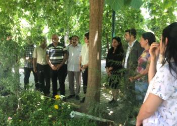 Suruç Aileleri İnisiyatifi’nden Amara Kültür Merkezi’nde anmaya çağrı