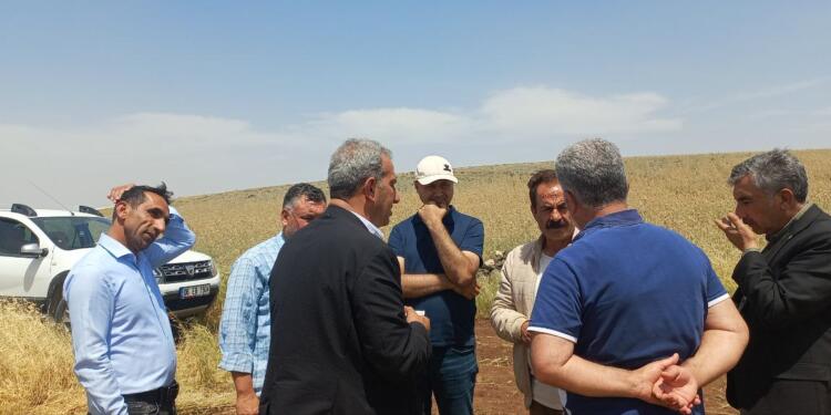 Curnê Reş’te seçim çalışmaları sürüyor