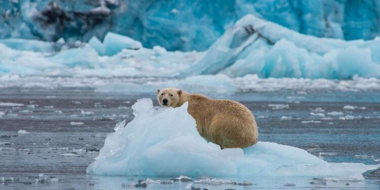 Erime geri dönülmez noktada