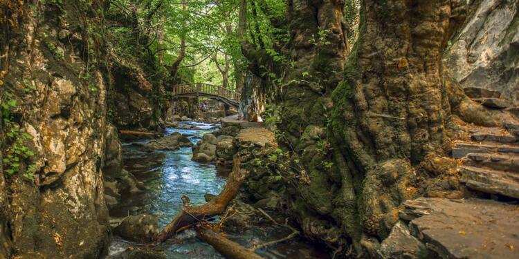 55 köyün suyu Cengiz’e verilmek isteniyor