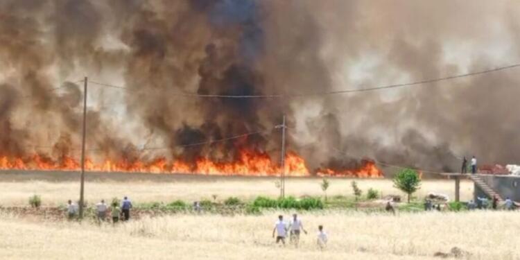Erxenî’de ekili arazilerde yangın çıktı